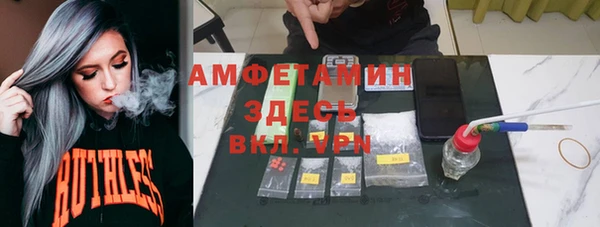 ПСИЛОЦИБИНОВЫЕ ГРИБЫ Баксан