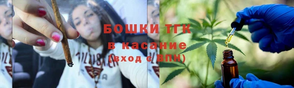 ПСИЛОЦИБИНОВЫЕ ГРИБЫ Баксан