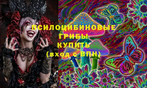 PSILOCYBIN Балахна