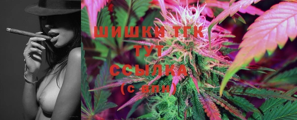 ПСИЛОЦИБИНОВЫЕ ГРИБЫ Баксан